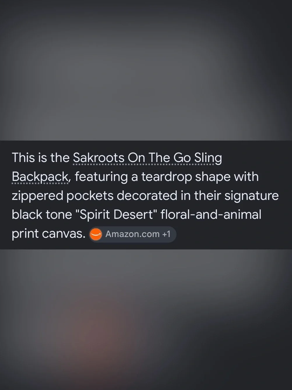 Nwot Sakroots sling on the go backpack bag